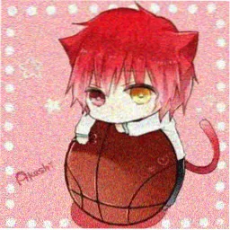 用户头像